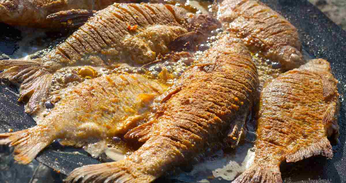 Best fish to fry in a pan